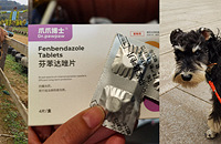 ���˸���������������棬������������