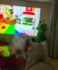 è�����ڿ���Ƭ����chu£�˿�������������Ŷ