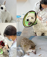 ���ҽԺ���˺��Ҹ���ҽ��������ϸ��