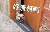 你身边最潇洒的人过着怎样的生活?