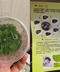 ���꼶�ҳ���ج�Σ���ʦ֪ͨ������