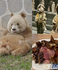 Ϊ�˿�����ȥ������������̫�ó���