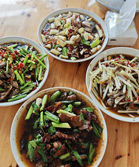 �������ϼҼҳ��������е��Ҳ���˼��е���ѧ