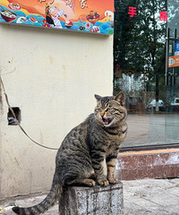 �����˼�ġ�С�ϻ�����һ��һ������ʮ��