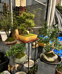 ����ʯ���Ļ�ƿ�����裬����������˭����