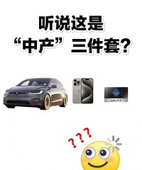 特斯拉+苹果15pro+山姆会员卡=中产?大家离中产差几个?