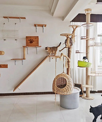 ���ݳޣ�����ø���������èס�𣿻���˲���è