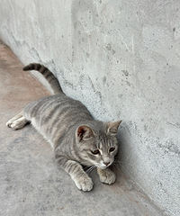 è����1�����ˣ������ƽʱûɶ�����ѵ�û����