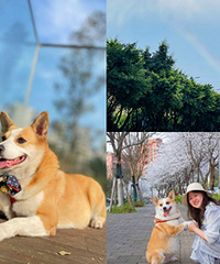 �͹���һ�����һ���棬�������˲ʺ�