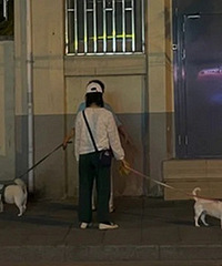 ż��2ֻ��ֹ������������ѵ�����ܣ�