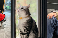 ���������ȫ���˵ı������ҿ���ˮ�����ص��޲���