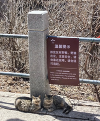 ����ɽ���ֺö�Ұè������������ॸ���ȥ�ģ�