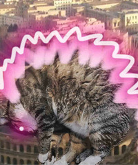 ʲô��˹����ս��գ�������˹������������Ȥ��