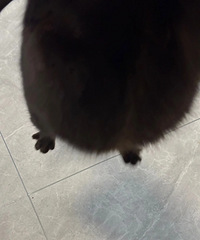 è�ֵ�û���ˣ��������������צ��˭����pkһ��