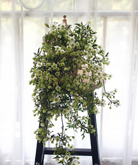 �������������ĵڶ��꣬��������״���ٲ�һ��