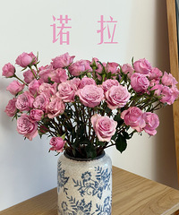 ����10������ƿ�廨��õ�峬������15�������