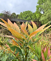 ˵һ˵ʲôĽҪŮһԼô