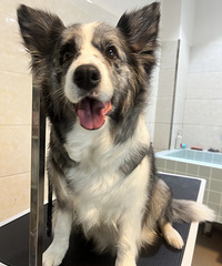 89176CM40ĸ飬ϣ㾻158