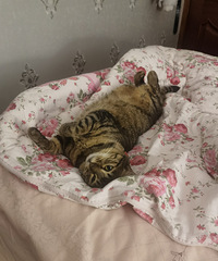 91176CMƲȾƵĸ飬ϣԷ90~97