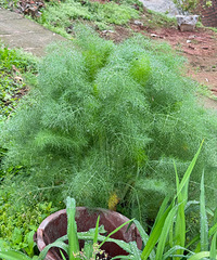 �����ˡ����š������㣬ʵ���Ȼ������