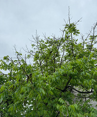 �������Ļ���ԭ������������˵���ܳԣ��𾪣�