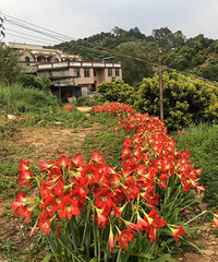 �����˿��˶�Ҫ�ޣ���ô���ֲ���Ļ������·�����