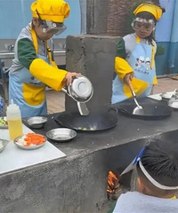 烧火做饭,养鸡!这个幼儿园爆火,报名已排到后年