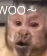 ������ֵ��������Ȥ������4��19���������ϼ�������4��9