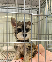 ���տ����ۣ�Ⱥ��˵���Ĺ���ɡ�5000��