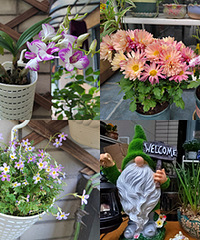 ¶̨��ʮ���ֻ��ݣ�С�ںÿ��ֺ�����