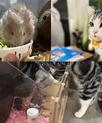 �����èè�������ھӣ�ϣ���ܺ�г�ദ