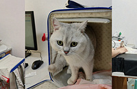 2��è��1�������b�������ŵý�ֺĸ��ץ����