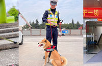 ɵ���߶�5�죬��Ȼ��˧���ľ���С���һ�����