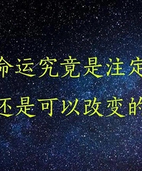 ���˹����꣬��������
