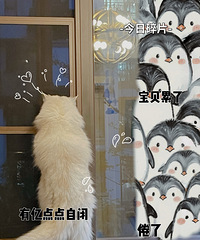 èϲ��������������������뵱���ȶ�Ա��