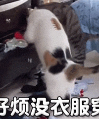 ������ֵ���򡿼���С���Ӽ�ʳ������13��18�����Ȼ�����19