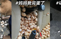 ������˭������һ����ɲ�����ҡ��군���ˣ�