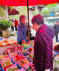 ȥ�ϰ��ϳ��������������������˶ൽ�Ų�մ��