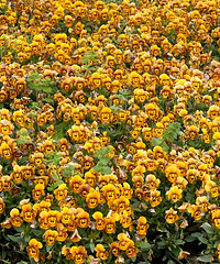 ͷ�μ���ô����Ļ���������һԹ������Ĵ���