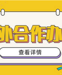 低分高录!2024年国内中外合办项目汇总