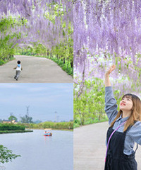 ������һ�꣡�������ٻ��ٲ���ľ���