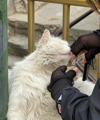 ��Ȼ���˸�Ұè��ָ�ף����Ƿ������е㳣ʶ����