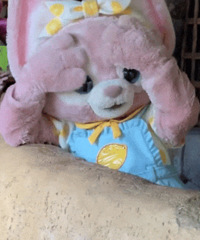 ������ֵ�������ʫ��Ĥ2��190������501�ڿ�3��39