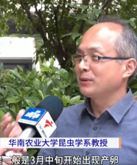 [����]ͷƤ���飡����ܶ�㶫���·��϶��У��պ�14����