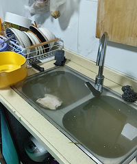 低楼层好可怕,污水涌上厨房台盆