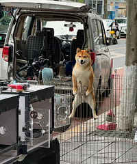 �Ĵ��Ĺ�����ô�����𣿾�Ȼ�����������ϣ�Ҫ��