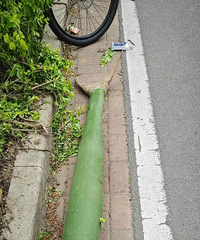 �����̻���������ôţ����Ҷ����������������