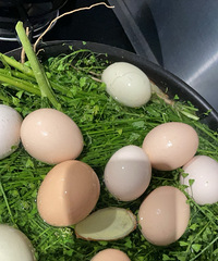 3��3���������󼦵�