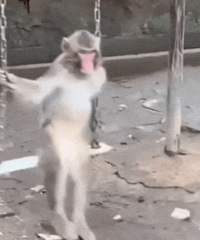 ������ֵ���򡿰��λ���Һ3ƿ59����֥��ˮ����ո�3֧29