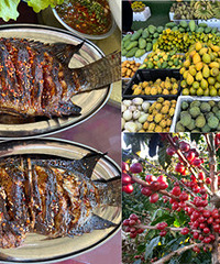 ��������С�ڵأ������Ƿ���Ĵ���